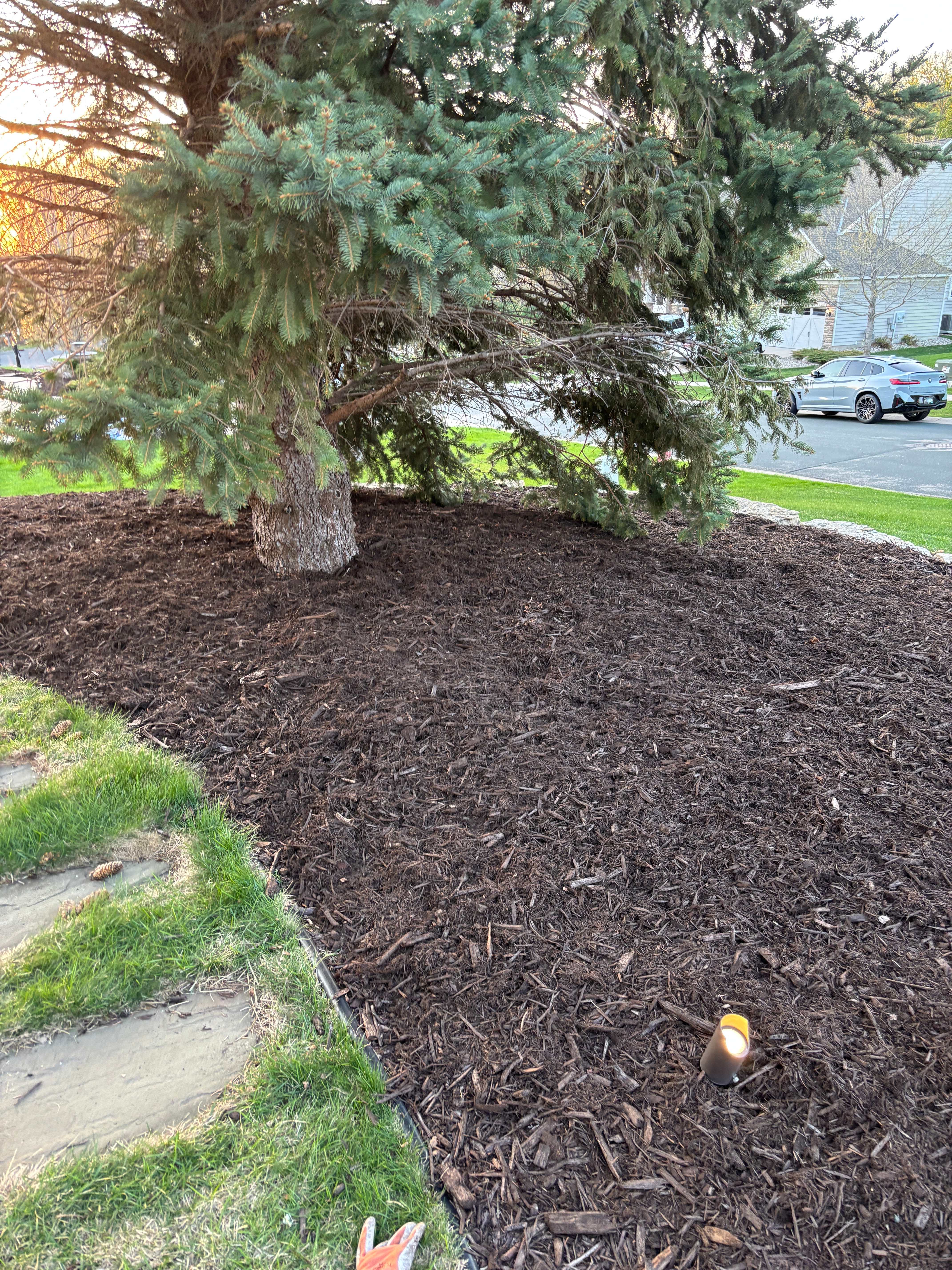 Flower Bed Clean Ups